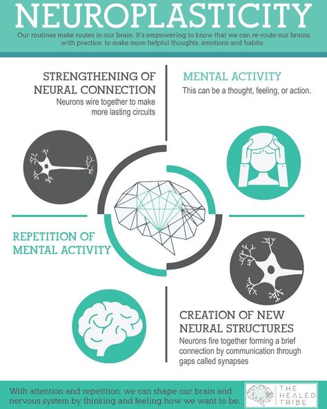 Brain Chat’s Instagram photo: “Neuroplasticity from @the.healed.tribe 🧠🧠🧠 https://www.thehealedtribe.com/blog/2020/1/15/limbic-system-hypersensitivity-pain-fatigue-…” Limbic System Retraining, Limbic System Brain, Neural Plasticity, Neuroplasticity Exercises, Endocrine System Hormones, Brain Chemicals, Neural Pathways, Multiple Chemical Sensitivity, Rewire Your Brain