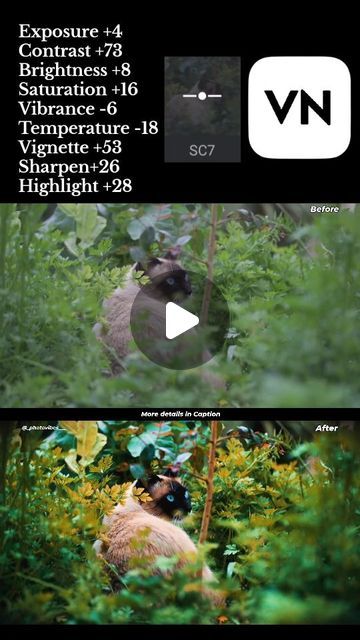 Video Colour Grading, Colour Grading Video, Photo Colour Grading, Colour Grading Film, Cinematic Sunset, Cinematography Camera, Editing On Instagram, Color Grading Tutorial, Cinematic Color Grading