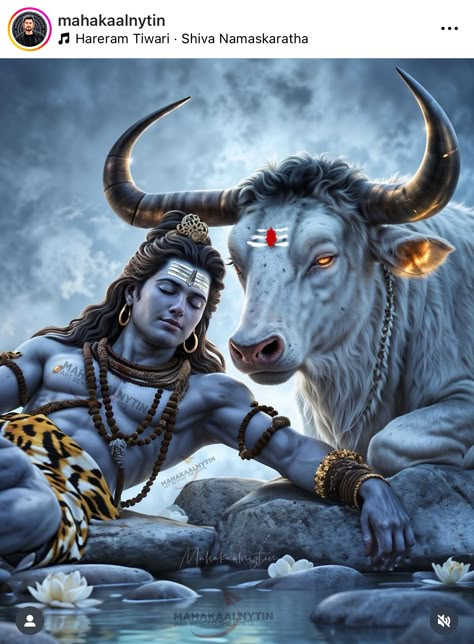 Bhairava God Art, Pictures Of Shiva, Shiva Hd Wallpaper, Lord Photo, Hanuman Pics, Lord Wallpapers, Shiva Photos, Lord Shiva Hd Wallpaper, Shiva Lord