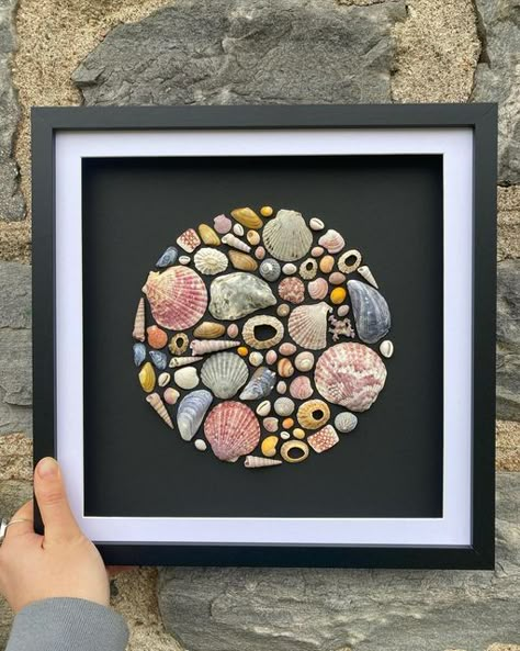 Shell And Stone Art, Sea Shells Pictures, Framed Shell Art Seashells, Mosaic Shell Art, Cowrie Shell Art, Shell Artwork Ideas, Sea Shell Crafts Seashell Art, Sea Shell Art Projects, Beachcombing Art