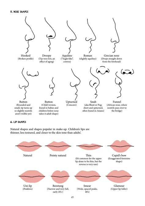 nose and lip shapes Skin Types Chart, Nose Types, Shape Chart, Face Reading, Nose Shapes, Lip Shapes, Book Writing Tips, Fall Hair Color, Facial Features