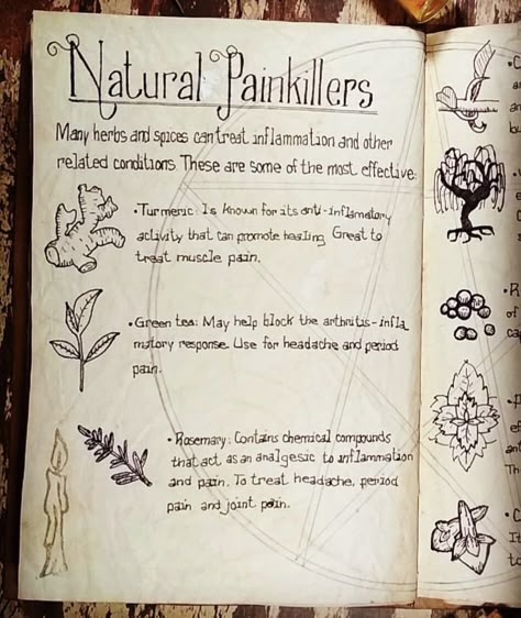 Bos Page Ideas, Grimoire Journal Pages, Witch Journal Ideas Aesthetic, Book Of Shadows Herbs, Witch Grimoire Aesthetic, Grimoire Book Aesthetic, Herbalism Journal Ideas, Grimoire Pages Aesthetic, Grimore Books Ideas