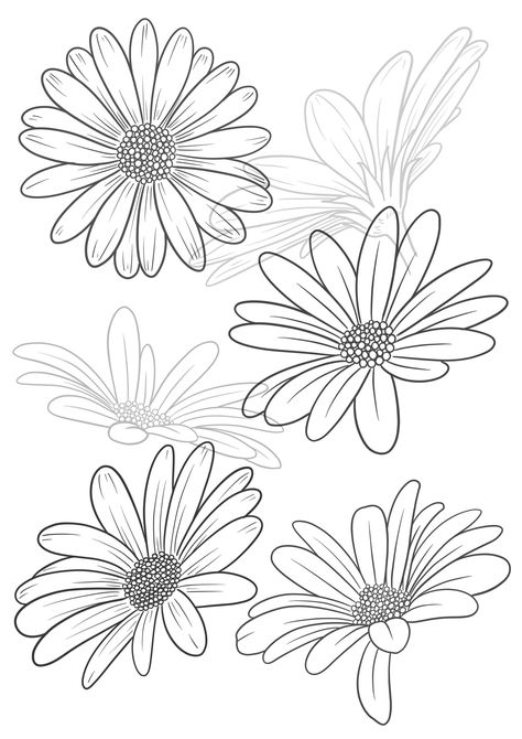 - 25 hand-drawn daisy stamps in a variety of styles, perfect for adding a touch of whimsy to your digital artwork. #procreate #procreatestamps #digitalart #dainty . #Daisy_Embroidery_Pattern_Template #How_To_Draw_Daisy_Flowers #Daisy_Drawing_Step_By_Step #Procreate_Stencils Daisy Embroidery Pattern Template, How To Draw Daisy Flowers, Daisy Tattoo Stencil, Procreate Stencils, Daisy Stencil, Daisy Sketch, Daisy Flower Drawing, Flower Draw, Daisy Drawing