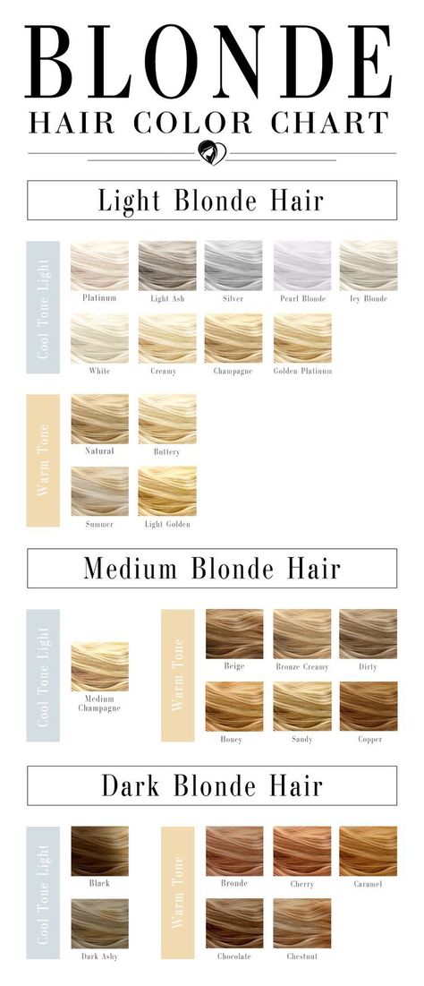 Different Types Of Blonde Hair, Different Types Of Blonde, Types Of Blonde Hair, Types Of Blonde, Champagne Blond, Dark Ash Blonde Hair, Blonde Hair Color Chart, Hair Chart, Blonde Hair Colour Shades