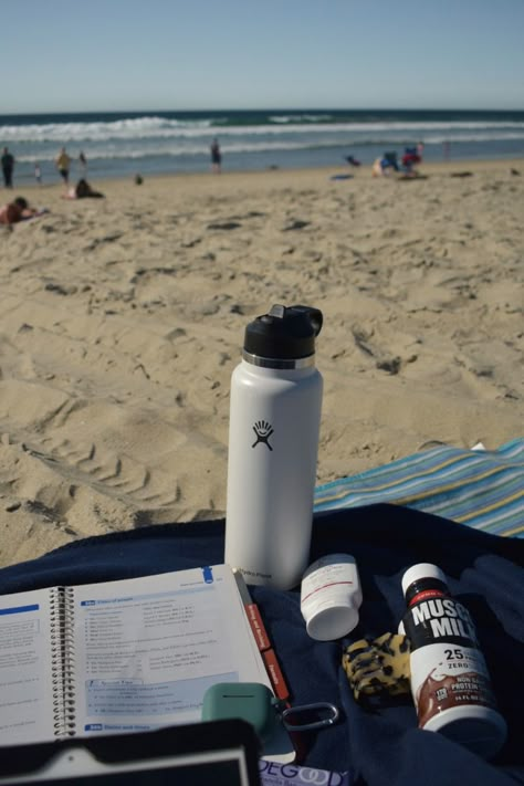 Beach University Aesthetic, Studying On The Beach Aesthetic, Work On The Beach, School On The Beach, Beach Study Aesthetic, College Beach Aesthetic, Studying At The Beach, Studying Marine Biology Aesthetic, College On The Beach