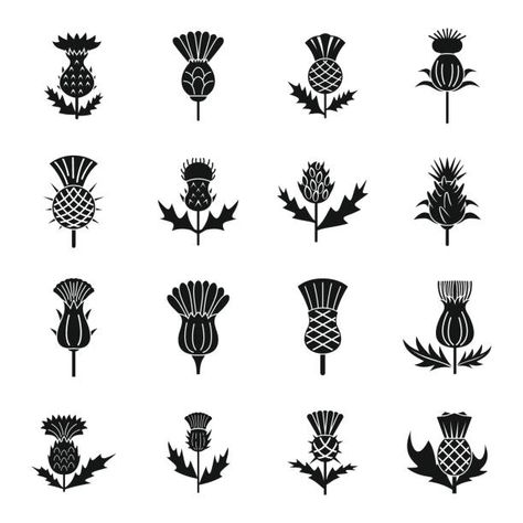 Thistle Tattoo Black, Scotland Symbols, Thistle Logo, Thistle Flower Tattoo, Scottish Thistle Art, Scotland Tattoo, Scottish Thistle Tattoo, Scottish Tattoo, Scottish Tattoos