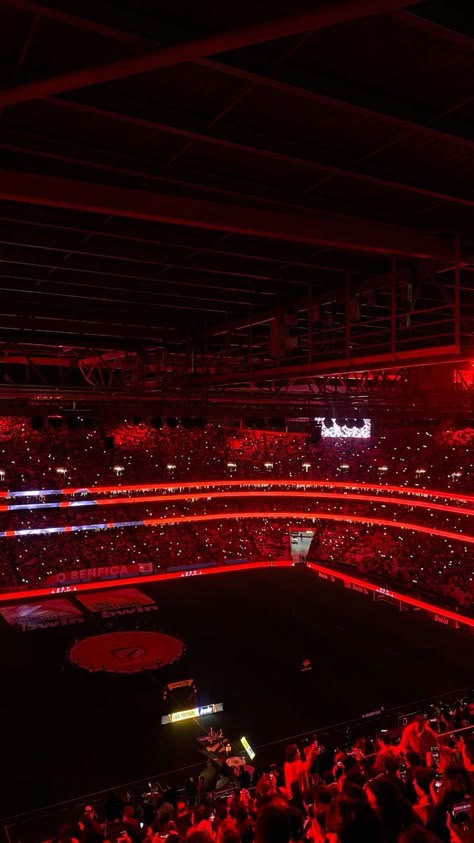 Red Football Aesthetic, Wallpaper Benfica, Benfica Logo, Stadium Wallpaper, Benfica Wallpaper, Cr7 Wallpapers, Albanian Culture, Dark Men, Fc Bayern Munich