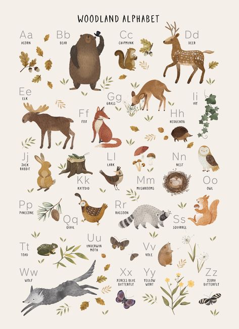 Nursery Ideas Boy, Woodland Alphabet, Ideas Habitaciones, Animal Nursery Theme, Woodland Nursery Theme, Theme Nature, Nursery Room Design, Forest Nursery, Baby Room Inspiration