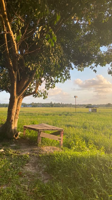 spent few hours at the paddy field in my hometown #studioghiblivibes Paddy Field Aesthetic, Philippines Countryside, Indian Fields, Paddy Field Photography, Village Photography Nature, Peaceful Nature Aesthetic, Province Aesthetic, Village Life Photography, Village Life Aesthetic