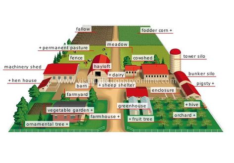 28 Farm Layout Design Ideas to Inspire Your Homestead Dream Farm Layout Design, Layout Design Ideas, Homestead Layout, Greenhouse Vegetables, Farm Plans, Homestead Farm, Farm Layout, Garden Design Layout, Mini Farm