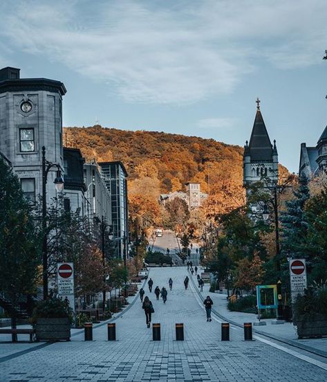 McGill University, Mont-Royal 📷 : lululemonmtl Montreal Aesthetic, College Vision Board, Concordia University, Mcgill University, College Aesthetic, Dream School, University Life, Academia Aesthetic, Dream Lifestyle