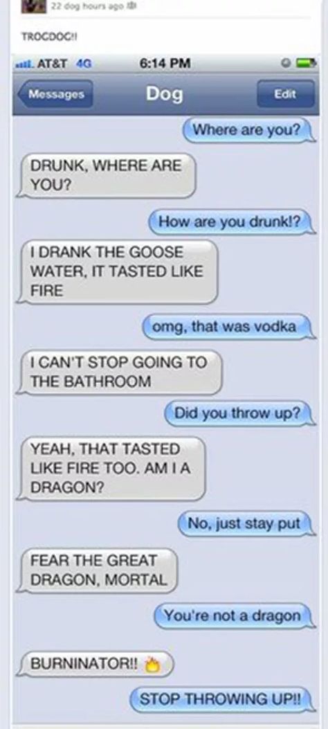 Dragons LOVE Goose Water is listed (or ranked) 2 on the list 38 Drunk Texts You Wish You Got Drunk Text Messages, Whats App Fails, Drunk Text, Funny Drunk Texts, Funny Drunk, Dog Texts, Really Funny Texts, Drunk Texts, Texts From Last Night