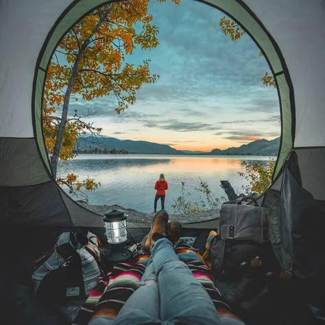 Tent View, Tenda Camping, Camping Inspiration, Camping Hacks Diy, Best Tents For Camping, Wild Camping, Camping Photography, Camping Aesthetic, Camping Tents