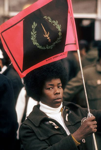 Black American Heritage Flag, Aa Culture, Black Panthers Movement, Black American Culture, African American Flag, Fred Hampton, Black American Flag, I Love Being Black, Black Panther Party