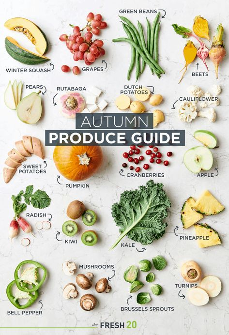 Fall Season Fruits And Vegetables, In Season Fall Produce, Fall Fruit In Season, In Season Fruits And Vegetables October, Fall Season Vegetables, Fruit And Veggie Season Chart, Fall Foods In Season, Autumn Produce Guide, Eating With The Seasons Fall