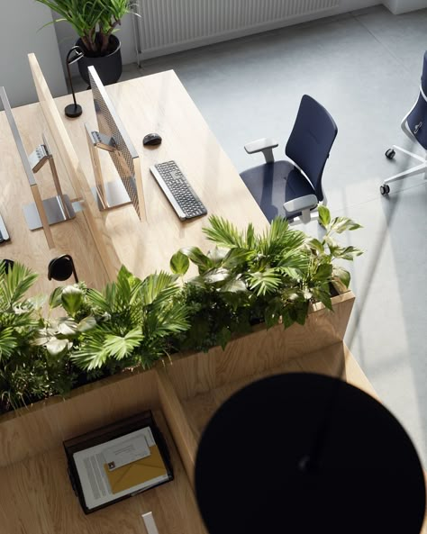 Plants In Office Space, Urban Office Design, Office Greenery, Office Open Plan, Open Office Design, Office Company, Corporate Interior Design, Industrial Office Design, Modern Office Space