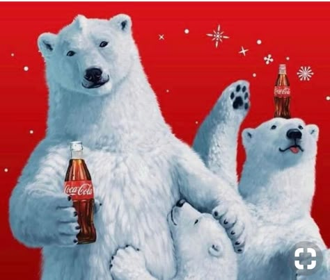 Christmas Bear Wallpaper, Coca Cola Pictures, Polar Bear Logo, Wallpaper For Computer, John Pemberton, Coca Cola Poster, Coca Cola Bear, Cocoa Cola, Coca Cola Decor