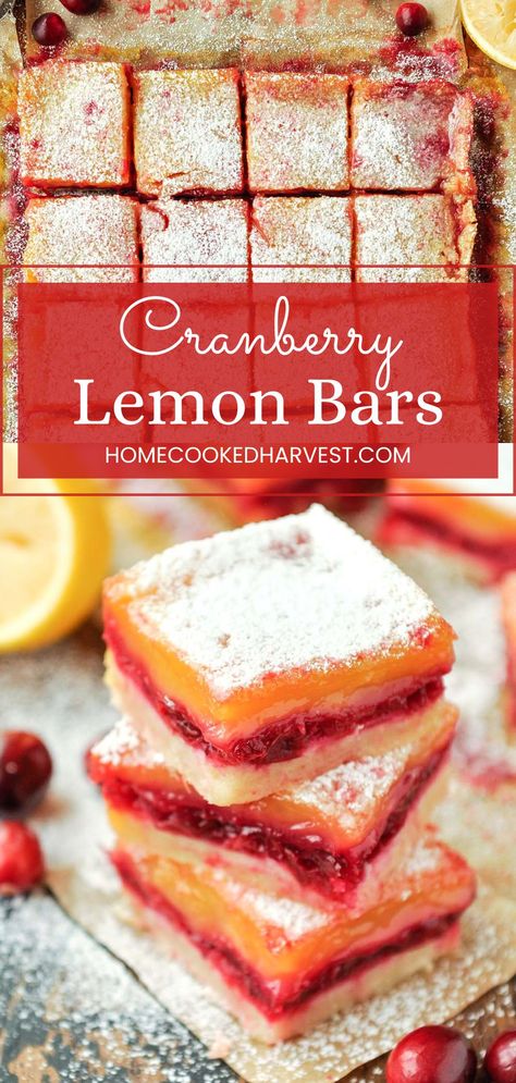 Cranberry Lemon Bars boast quite a tangy flavor since they are filled with fresh cranberries AND tart lemons! Cranberry Lemon Bars Recipe, Lemon Fall Dessert, Dessert With Fresh Cranberries, Lemon Cranberry Cheesecake Bars Delish, Baking With Fresh Cranberries, Thanksgiving Desserts With Cranberries, Cranberry Lemon Squares, Christmas Dessert Cranberry, Thanksgiving Desserts Lemon