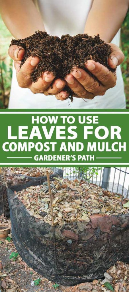 Leaf Compost, How To Start Composting, Making A Compost Bin, Start Composting, Leaf Mulch, Make Compost, Composting Methods, Diy Compost, Compost Bins