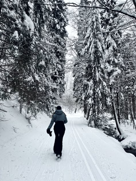 Winter Arch, Christmas Slideshow, Winter Motivation, March Goals, Aesthetic Pov, January Vision Board, Winter Vision Board, Reading Bible, Winter Hike