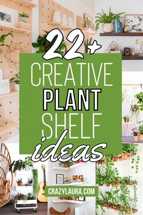 Plant Corner Ideas, House Plant Display, Plant Shelf Decor, Plant Organization, Plant Shelving, Plant Wall Ideas, Wall Plants Indoor, Plant Shelf Ideas, Plant Space