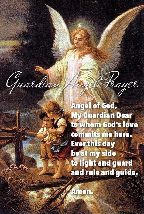 Angel Of God Prayer, Guardian Angel Images, Bedtime Prayers For Kids, Gardian Angel, Guardian Angel Prayer, Guardian Angel Pictures, Angel Of God, Guardian Angels Prayer, Archangel Prayers