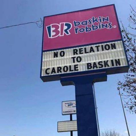 Baskin Robbins Aesthetic, Aesthetic Working, Carole Baskin, Funny Tiger, Ada Signs, 2020 Memes, Silly Funny, Netflix Documentaries, Baskin Robbins