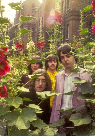 The Beatles in a forest of hollyhocks. via The Hippies were Right. Dream Photoshoot, Collage Mural, Beatles Love, Beatles Photos, Strawberry Fields Forever, Wallpaper Pastel, Music Taste, Sopot, Rock N’roll