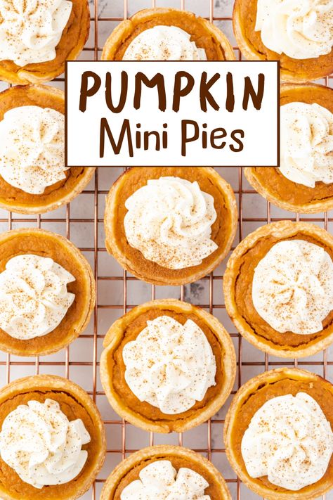 Mini Pumpkin Pies In Cupcake Tin, Healthy Mini Pumpkin Pies, Pumpkin Pies Mini, Mini Pumpkin Pie Desserts, Muffin Tin Pumpkin Pie Recipe, Handheld Pumpkin Pies, Individual Pies Thanksgiving, Pumpkin Pie Muffin Tin, Mini Pumpkin Pie Recipe Muffin Tins