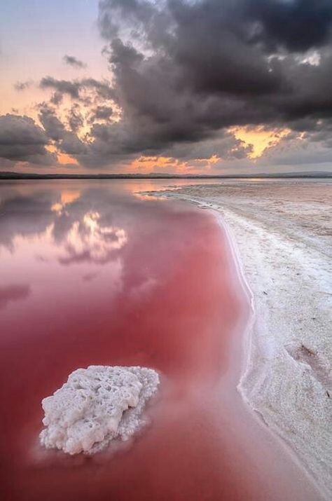 Pink Salt Lake, Senegal Clouds In The Sky, Pink Lake, To Infinity And Beyond, Pretty Places, Amazing Nature, Natural Wonders, Land Scape, Beautiful World, The Pink