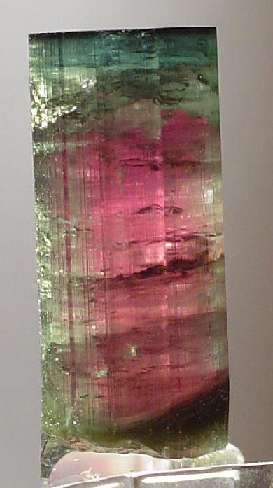 Commands my attention Gemstone List, Crystal Aesthetic, Genetic Disorders, Pretty Rocks, Les Chakras, Rocks Crystals, Beautiful Rocks, Gems And Crystals, Tourmaline Stone