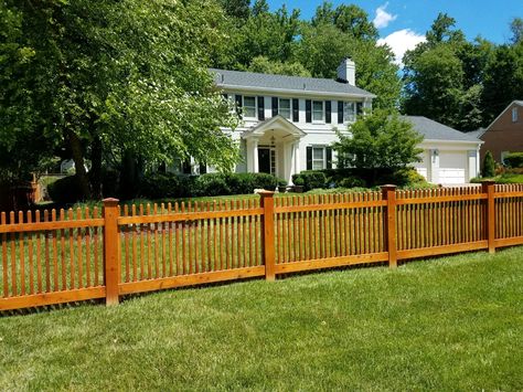 Stained wood Poolesville Picket Fence Stained Picket Fence, Cheap Fence Ideas, Wooden Picket Fence, Stockade Fence, Short Fence, Pool Fences, Wood Picket Fence, Diy Backyard Fence, Cedar Fence Pickets