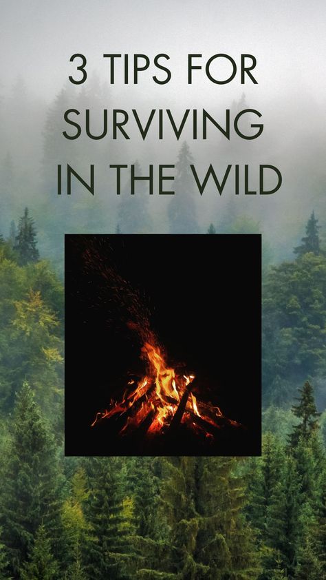 Purifying Water Survival, Survival In The Wild, How To Survive In The Wild, Survival Skills Wilderness, When The World Ends, Survival Traps And Snares, Survival Clothing, Surviving In The Wild, Camping Inspiration