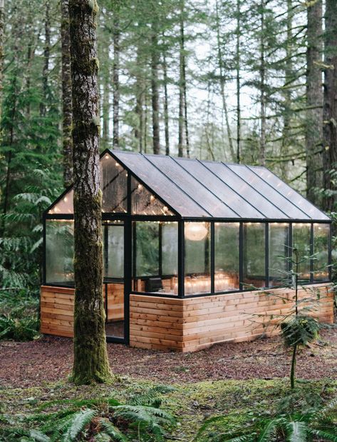 Shed Inspiration, Greenhouse Venue, Backyard Greenhouse, Greenhouse Plans, Glass Walls, Diy Greenhouse, Garden Greenhouse, Greenhouse Gardening, Cabin In The Woods