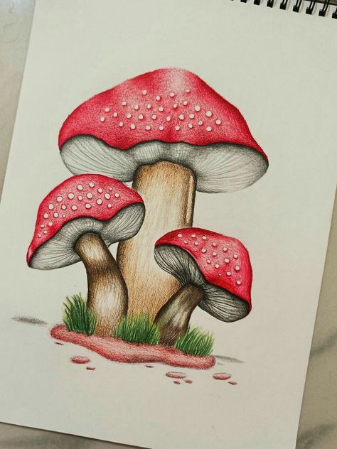 Mushroom Drawing Paintings, Pencils Colour Art, Mushroom Art Colored Pencil, Drawing In Pencil Colour, Drawing Colour Pencil Easy, Drawing In Colored Pencils, Mushroom Pencil Sketch, Flowers Drawing With Pencil Colors, Pencil Color Drawings Easy