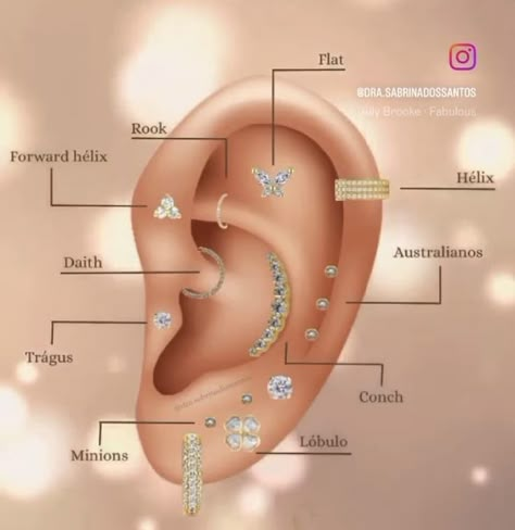 Anatomy For Industrial Piercing, Christina Piercing Location, Types Of Ear Piercings Names, Piercing Oreille Nom, Ear Piercing Map, Daith Ear Piercings, Ear Piercing Ideas Chart, Ear Piercing Diagram, Ear Piercings Names