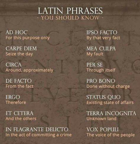 Always handy! - 9GAG Beautiful Latin Phrases, Latin Words And Meanings, Words And Meanings, Learn Latin, Latin Quotes, Latin Language, Latin Phrases, Unusual Words, English Writing Skills