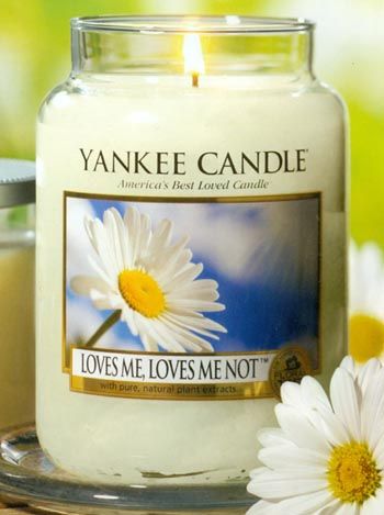 Yankee Candle - White Lace; Loves Me, Loves Me Not; Autumn Wreath Coquette Candles, Yankee Candle Jars, Yankee Candle Scents, Candle Obsession, Beach Candle, Love Candles, Yankee Candles, Candle Scents, Candle Lantern