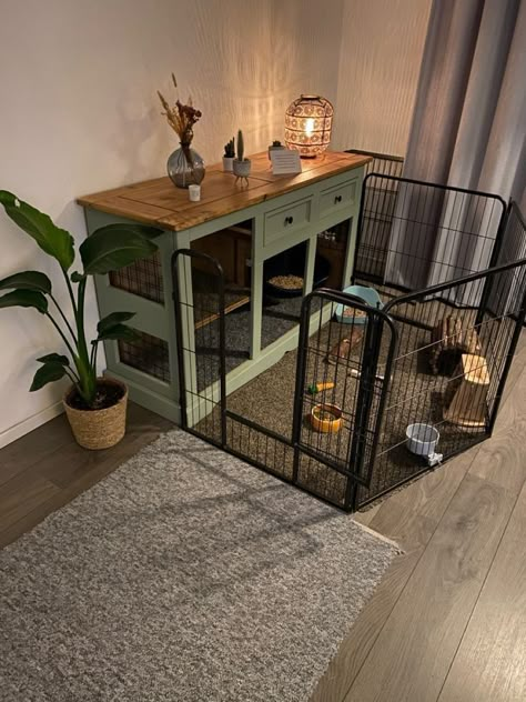 Indoor Bunny House, Diy Bunny Cage, Indoor Rabbit House, Rabbit Hutch Indoor, Indoor Rabbit Cage, Diy Guinea Pig Cage, Rabbit Enclosure, Rabbit Habitat, Pet Rabbit Care