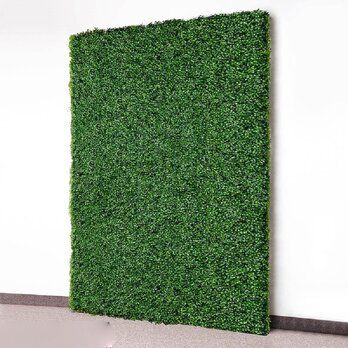 Faux Boxwood, Artificial Hedges, Boxwood Hedge, Interlocking Deck Tiles, Square Shades, Deck Tile, Artificial Boxwood, Laser Cut Metal, Hybrid Tea Roses