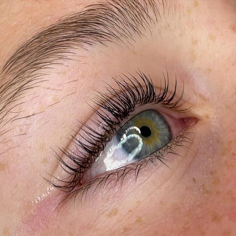 lash lift and tint goals 😍😍 lash lift and tint done on @_helenaschmoll <3 @thelashshop.ca - lash lift system @refectocil_international @refectocilnorthamerica - black tint #lashliftgoals #lashlift #lashlifting #lashliftandtint #lashlifts #lashliftingpro #lashlifttint #eyelashlift #eyelashlifting #eyelashliftandtint #eyelashlifts #lashtint #lashtinting #lashtintandlift #lashes #lasheslasheslashes #lashesonfleek #cleangirlaesthetic #cleangirllook #thelashshop #refectocill Very Natural Lash Extensions, Natural Lash Lift, Jade Aesthetic, Lash Tint And Lift, Brows Waxing, Lash Lift And Tint, Eyelash Lift And Tint, Lash Tint, Lash Lifting