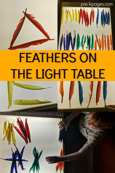 A science exploration of feathers on the light table for preschool, pre-k, and kindergarten; math or literacy feather activity for Pre-K Preschool Light Table, Light Box Activities, Science Gifts For Kids, Science Table, Light Box Ideas, Light Table Ideas, Box Activities, Light Table Activities, Pre K Pages