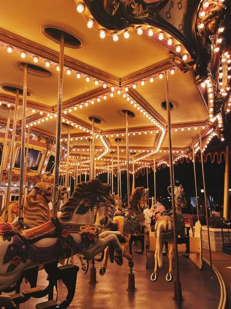 Circus Aesthetic, Dark Circus, Jeff Buckley, Fun Fair, Carousel Horses, Merry Go Round, Amusement Park, Nature Photos, Disney Parks