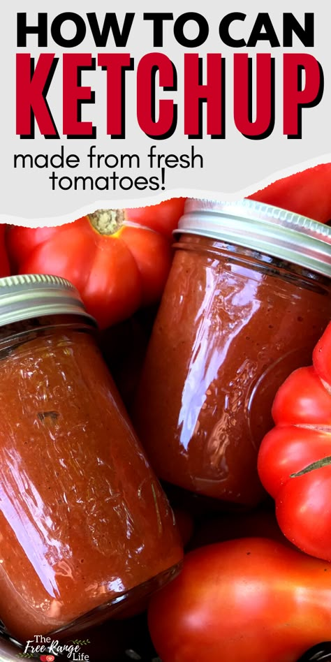 Canning Homemade Ketchup With Fresh Tomatoes, Tomato Water Bath Canning Recipes, Canning Tomatoes Recipes Ideas, Ideas For Fresh Tomatoes, Tomatoe Canning Recipe, Canning With Tomatoes, Canning Tomato Recipes Ideas, Water Bath Canning Recipes Tomatoes, Recipes For Tomatoes From Garden