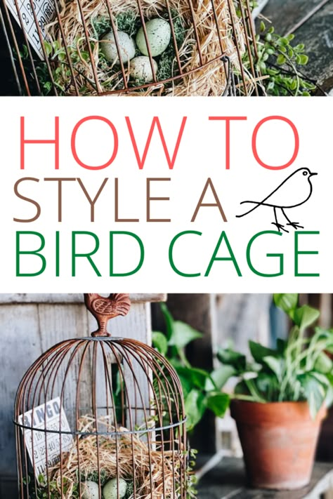 How to Style Bird Cage for Spring Bird Cages Decorated Ideas, Diy Bird Nest, Vintage Bird Cage Decor, Rustic Americana Decor, Bird Cage Ideas, Birdcage Planter, Diy Bird Cage, Antique Bird Cages, Bird Cage Centerpiece