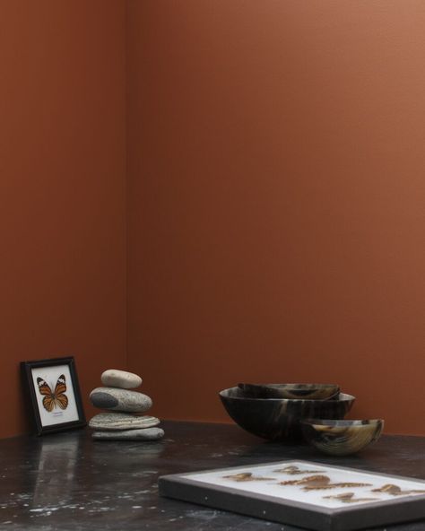 Audobon Russet Benjamin Moore, Terra Mauve Benjamin Moore, Benjamin Moore Rust Paint Colors, Terra Cotta Paint Color, Burnt Orange Paint, Benjamin Moore Bathroom, Terracotta Walls, Orange Paint Colors, Terracotta Paint