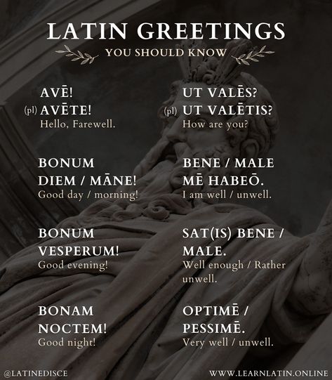 Dark Latin Phrases, Latin Spells, Latin Language Learning, Use Your Words, Latin Quotes, Latin Language, Latin Phrases, European Languages, Thigh Tattoos