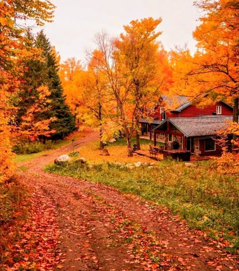 Fall Landscapes, Autumn Scenes, Autumn Scenery, Red House, I Love Fall, Autumn Beauty, Fall Pictures, Cabin In The Woods, Autumn Vibes