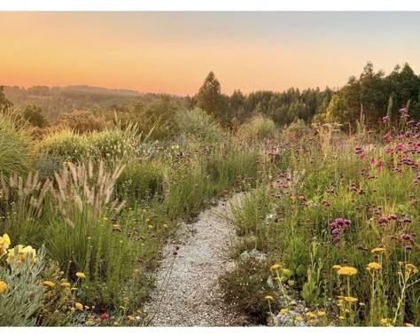 Garden House Exterior, Mediterranean Garden Ideas, Wildlife Garden Design, Wild Flower Field, Formed Concrete, Nature Houses, Mediterranean Garden Design, Board Formed Concrete, Naturalistic Garden