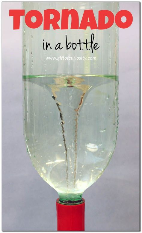 Make a tornado in a bottle to learn about extreme weather. What a great kitchen science activity to learn about weather! || Gift of Curiosity Diy Tornado, Homeschool Thanksgiving, Weather Lesson Plans, Tornado In A Bottle, Weather Activities Preschool, Weather Activities For Kids, Science Experience, Weather Lessons, Thanksgiving Activities Preschool